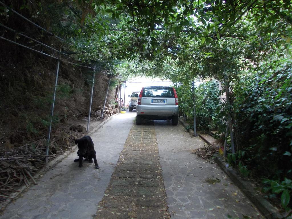 Bellavista Country House Pescara Dış mekan fotoğraf